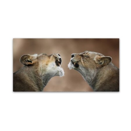 Trademark Fine Art Mathilde Guillemot 'You Understand What I Said.' Canvas Art, 12x24 1X00090-C1224GG
